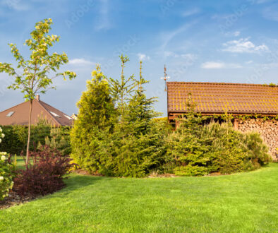 1000_F_112927615_DY2CnTHYPDAYycMzImspN54ApBprCbKG