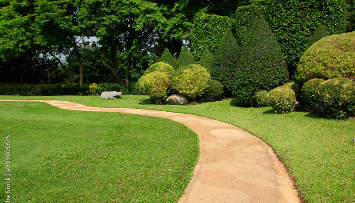 1000_F_393905675_xNBFCU08k6LIpX6Z3KUuXlAytinNQ0lE