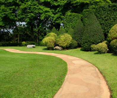 1000_F_393905675_xNBFCU08k6LIpX6Z3KUuXlAytinNQ0lE