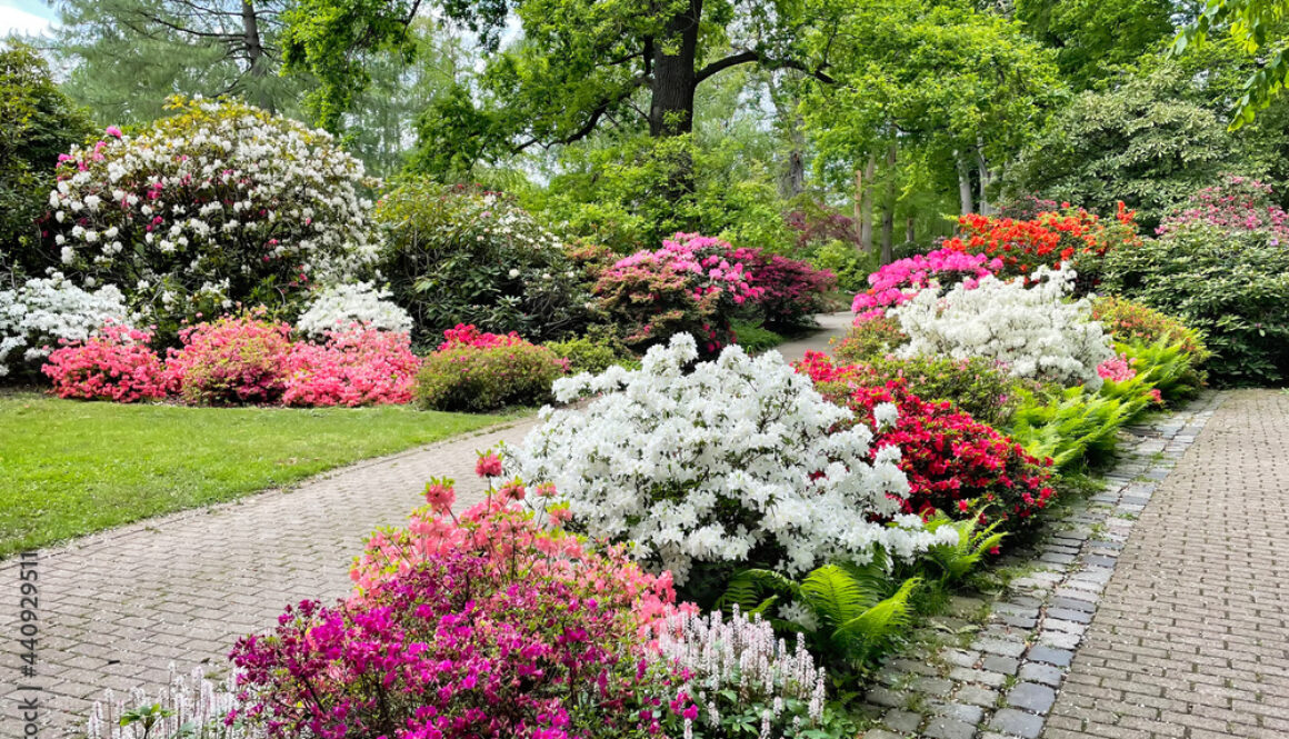 1000_F_440929511_mg5NEycuS2IymDW80JdsltnKlFeAU39h