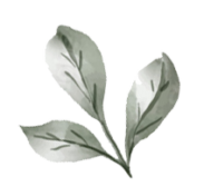 1000_F_484405297_platzhalter-5